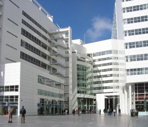 Ayuntamiento Nuevo